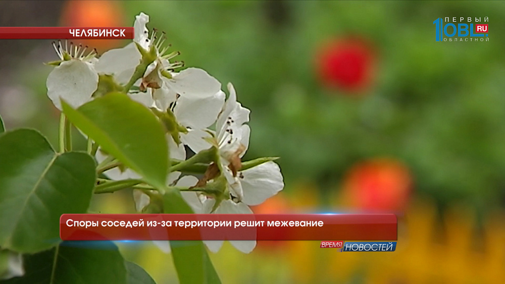 Споры соседей из-за территории решит межевание