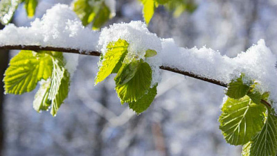 Потепление придет на Южный Урал уже в четверг