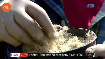 Наше УТРО на ОТВ – садовые истории о садовых материалах