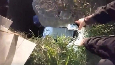 Собака провалилась в бесхозный колодец в Миассе 