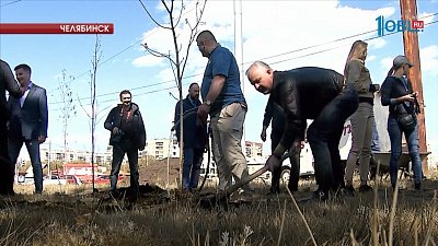 "Зелёный театр" начал масштабную высадку деревьев