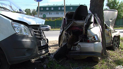 Легковушка «обняла» дерево в результате столкновения с маршруткой