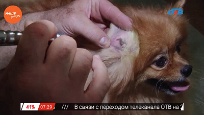 Наше УТРО на ОТВ – зоосоветы с Николаем Калининым