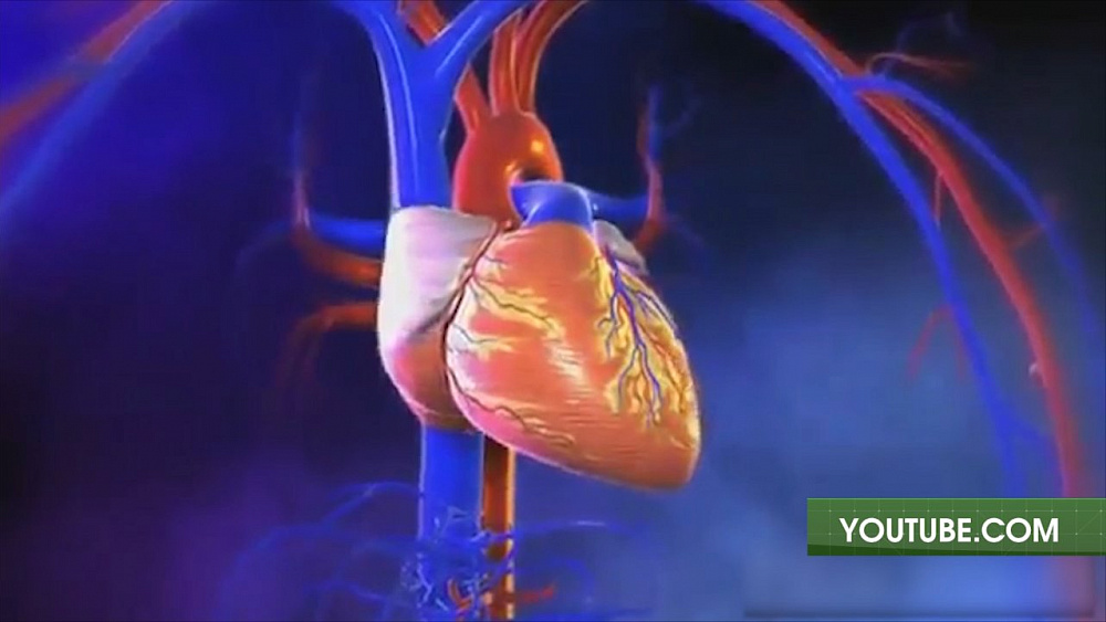 О здоровье от 03.06.2017