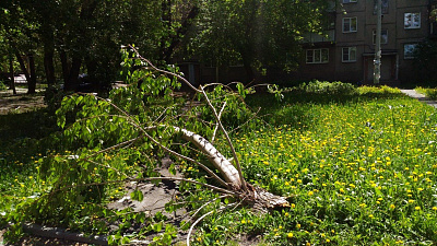 Синоптики прогнозируют «стабильную» погоду после урагана в Челябинской области