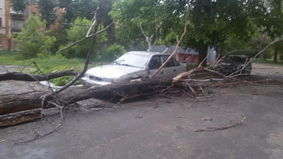 Губернатор потребовал обеспечить полную готовность служб к стихийным бедствиям