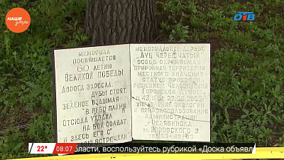 Наше УТРО на ОТВ – три самых знаменитых дерева Челябинска Наше УТРО на ОТВ – три самых знаменитых дерева Челябинска
