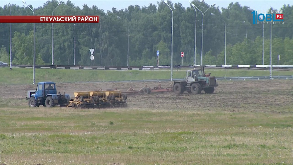 Посевная в регионе закончится в срок