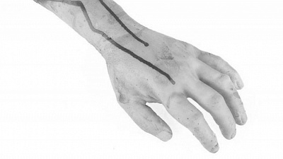 Таксист остановил мужчину с мешком человеческих конечностей и отрубленной головой 