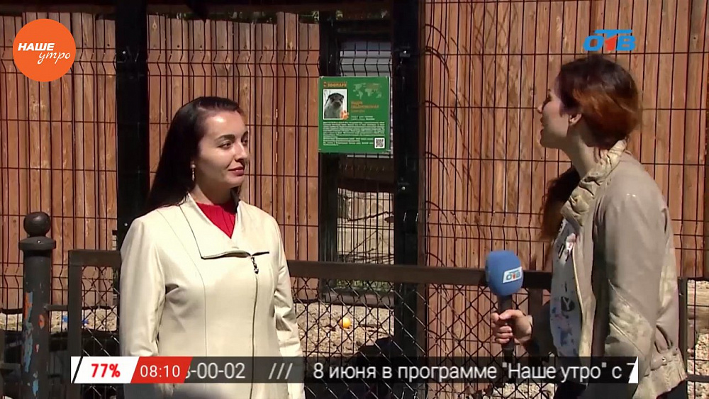 Наше УТРО на ОТВ – включение про новый проект ОТВ и Челябинского зоопарка
