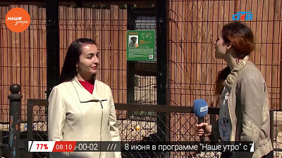 Наше УТРО на ОТВ – включение про новый проект ОТВ и Челябинского зоопарка