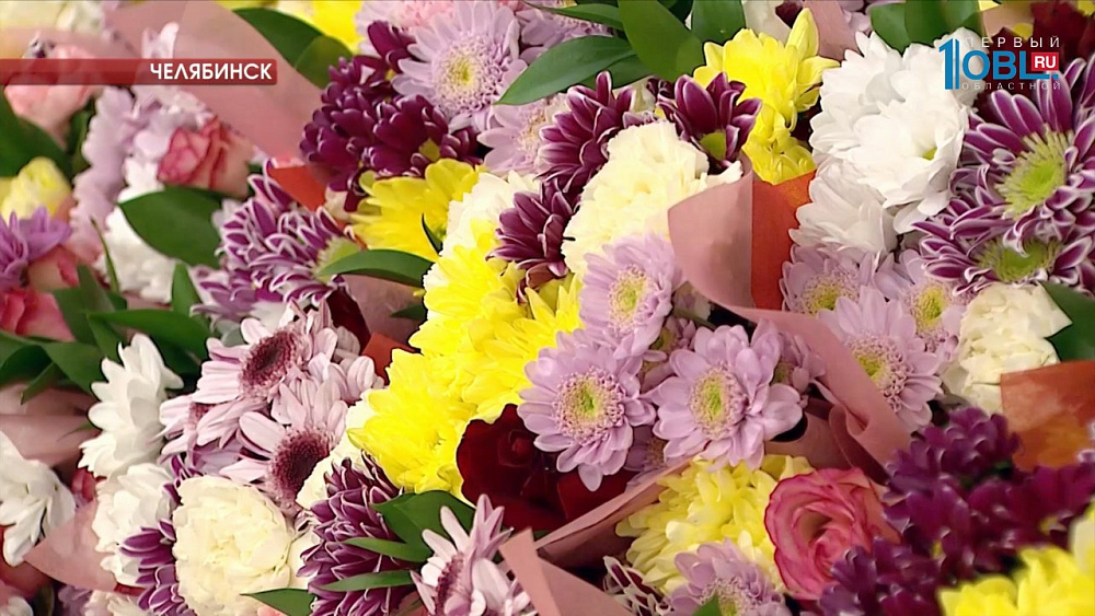 Лучших социальных работников наградили премией губернатора в профессиональный праздник