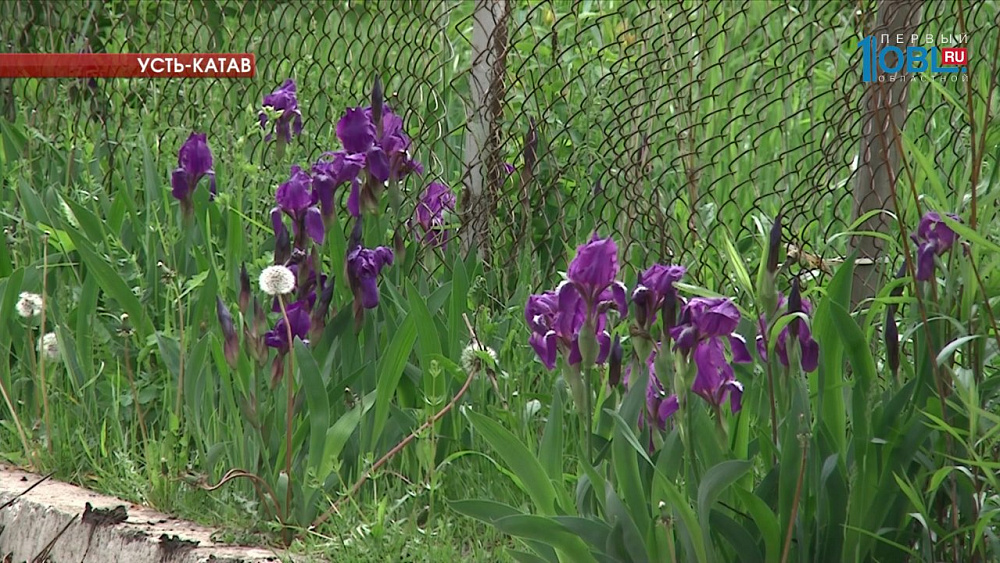 Метеоролог-любитель предсказала холодное лето