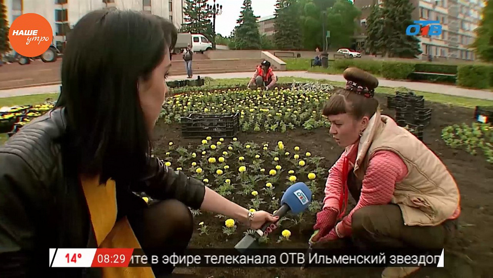 Наше УТРО на ОТВ – включение про клумбы