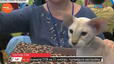 Наше УТРО на ОТВ – день в истории 08 июня 2017 г. Наше УТРО на ОТВ – день в истории 08 июня 2017 г.