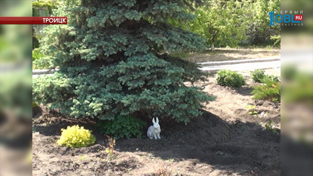 Монахини разбили небольшой пруд на территории монастыря