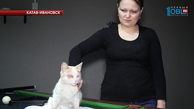 Происшествия дня 09.06.2017