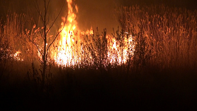 Высокая пожарная опасность ожидается в Челябинской области