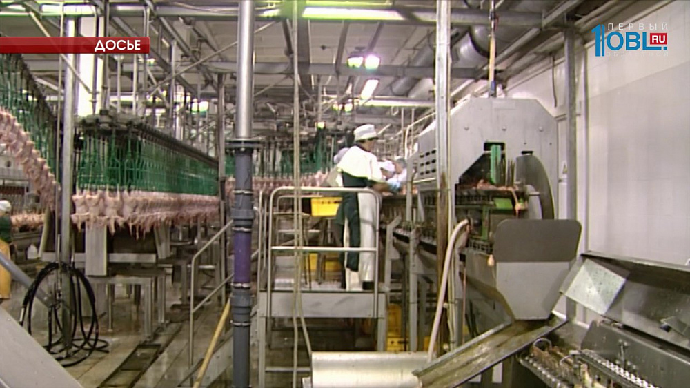 Зараженные птичьим гриппом полуфабрикаты уничтожили в Челябинской области