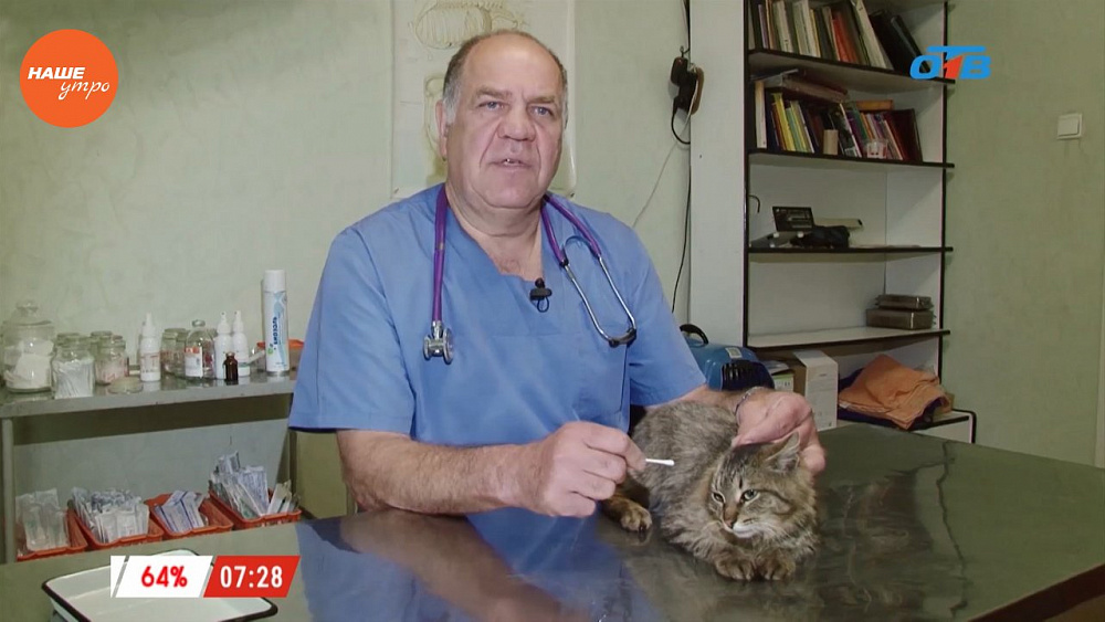 Ветеринарный врач Николай Калинин продолжает осмотр четвероногих пациентов