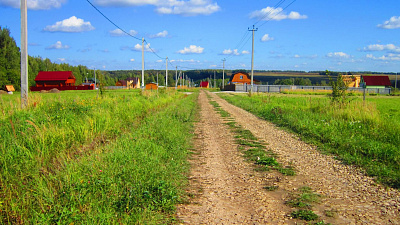 Союз садоводов России поможет челябинке, обратившейся к Владимиру Путину