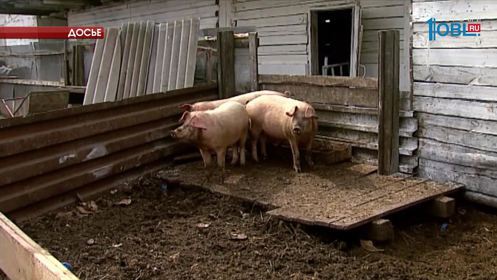 Лучшим фермерам Челябинской области вручили гранты на развитие собственного хозяйства 