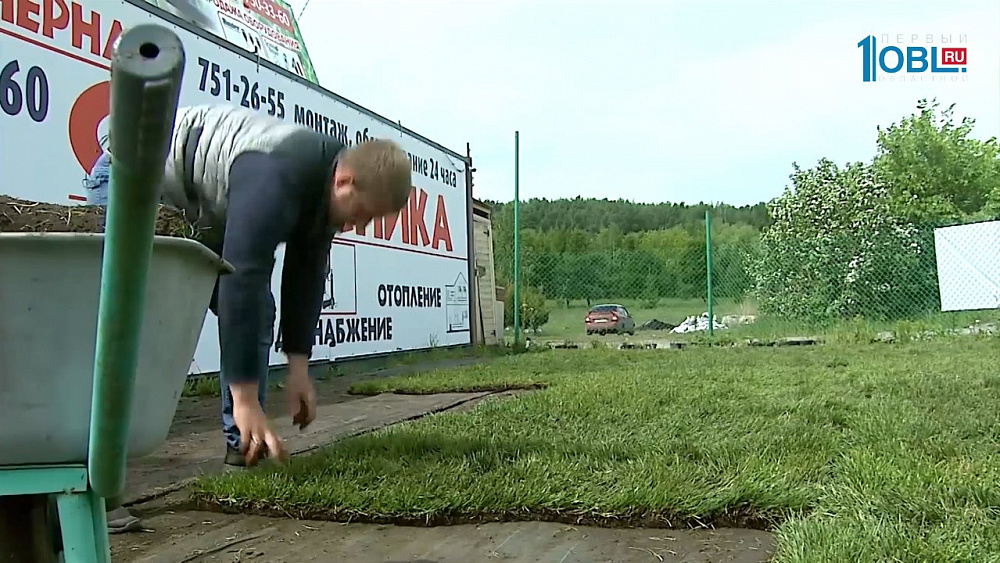 Газон без хлопот