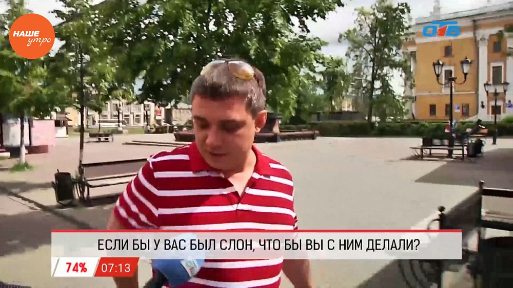 Наше УТРО на ОТВ – опрос – что бы вы делали, если бы у вас был слон?