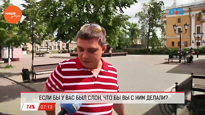 Наше УТРО на ОТВ – опрос – что бы вы делали, если бы у вас был слон?