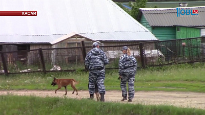 Поиски Вани Котова продолжаются