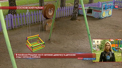 В посёлке Рощино на 4-летнюю девочку в детском саду напала собака