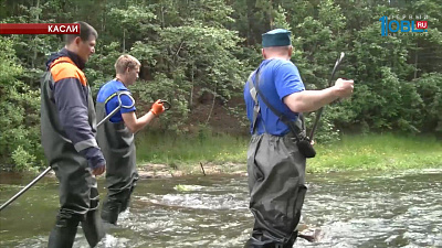 Поиски Вани Котова начинают повторно