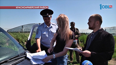 Экологи и полиция провели рейд в тепличном хозяйстве