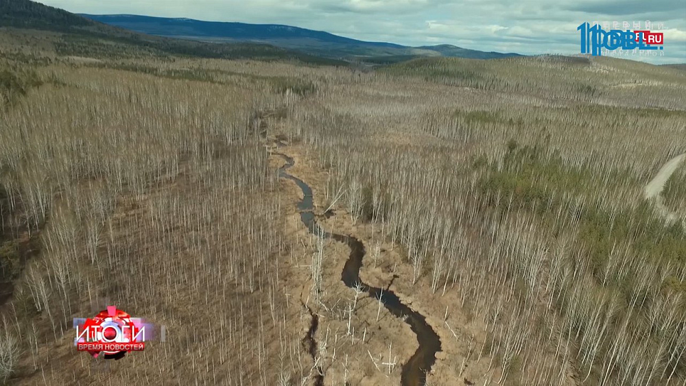 Оживить «мертвую реку»