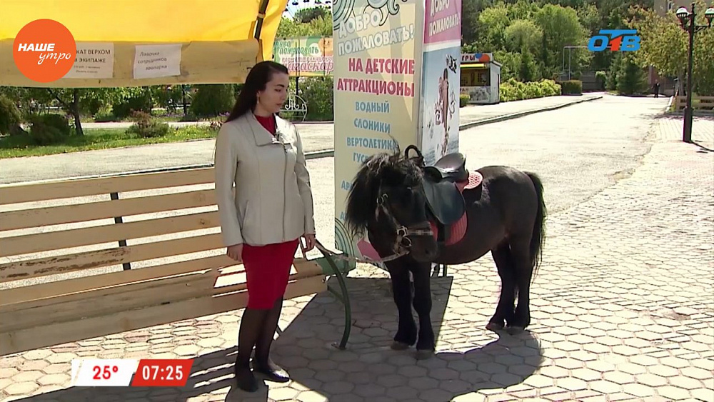 Наше УТРО на ОТВ – пушистое утро о пони (1 часть)