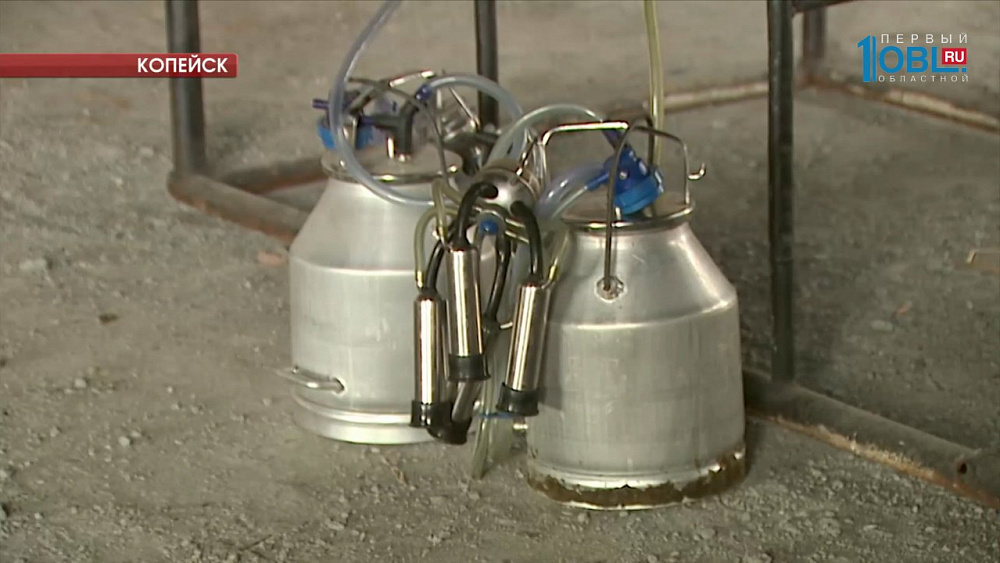 В исправительной колонии № 1 появится доильный цех