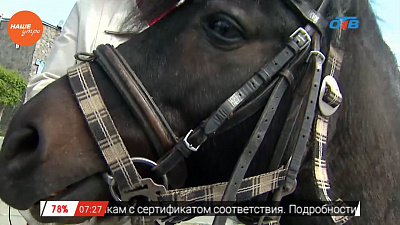 Наше УТРО на ОТВ – пушистое утро о пони (3 часть)