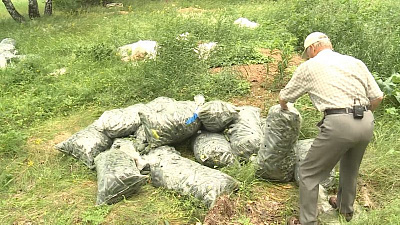 Грибник нашел в лесу тонну овощей 