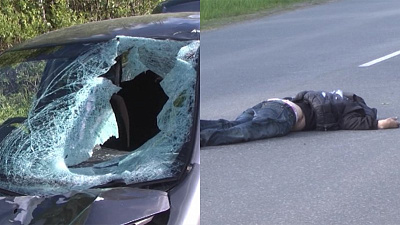 В Златоусте водитель сбил пешехода, вышедшего из кустов после пикника 