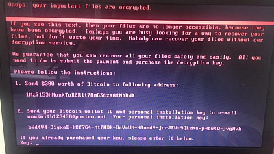 Лаборатория «ИНВИТРО» приостановила работу из-за кибератаки 
