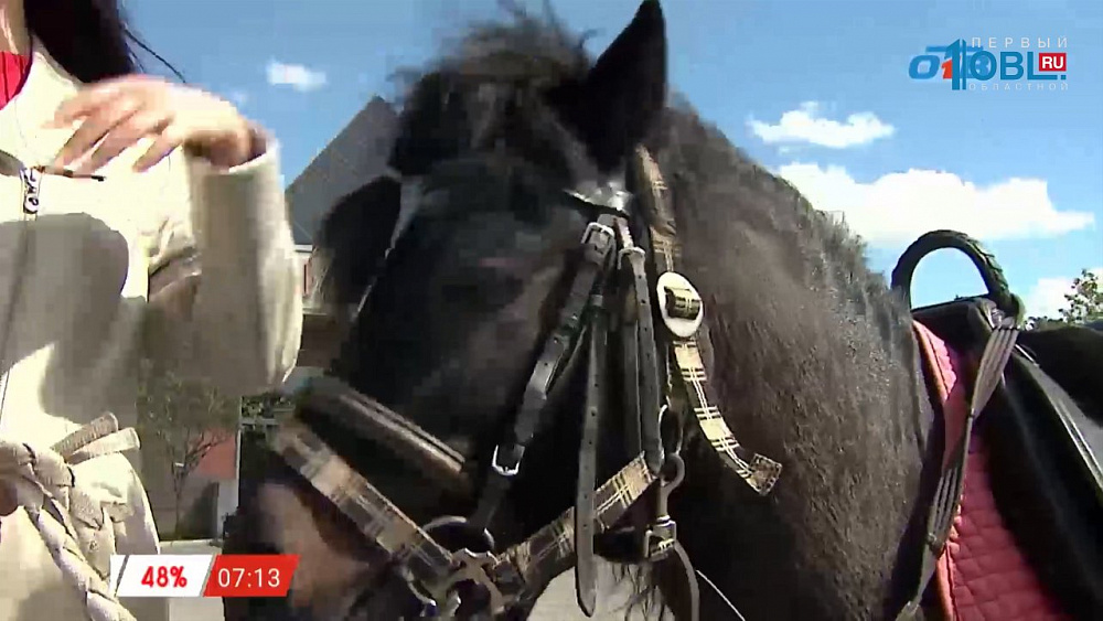 Наше УТРО на ОТВ – пушистое утро о пони (3 часть)