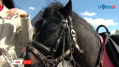 Наше УТРО на ОТВ – пушистое утро о пони (3 часть)