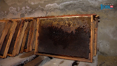 Моя деревня. Старик и пчелы