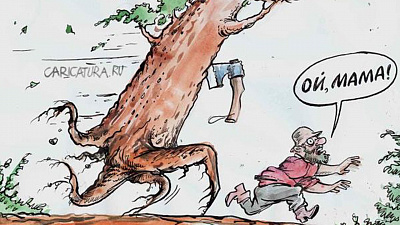 Безопасные газоны посреди охранной зоны 