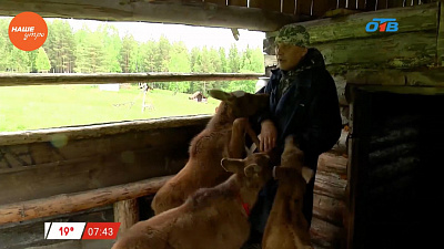 Наше УТРО на ОТВ – про лосей