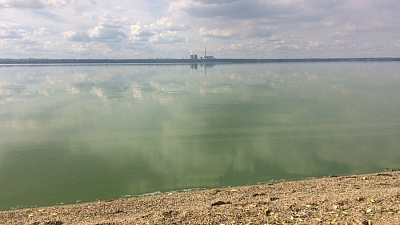 Первое озеро в Челябинске позеленело из-за цветения водорослей 