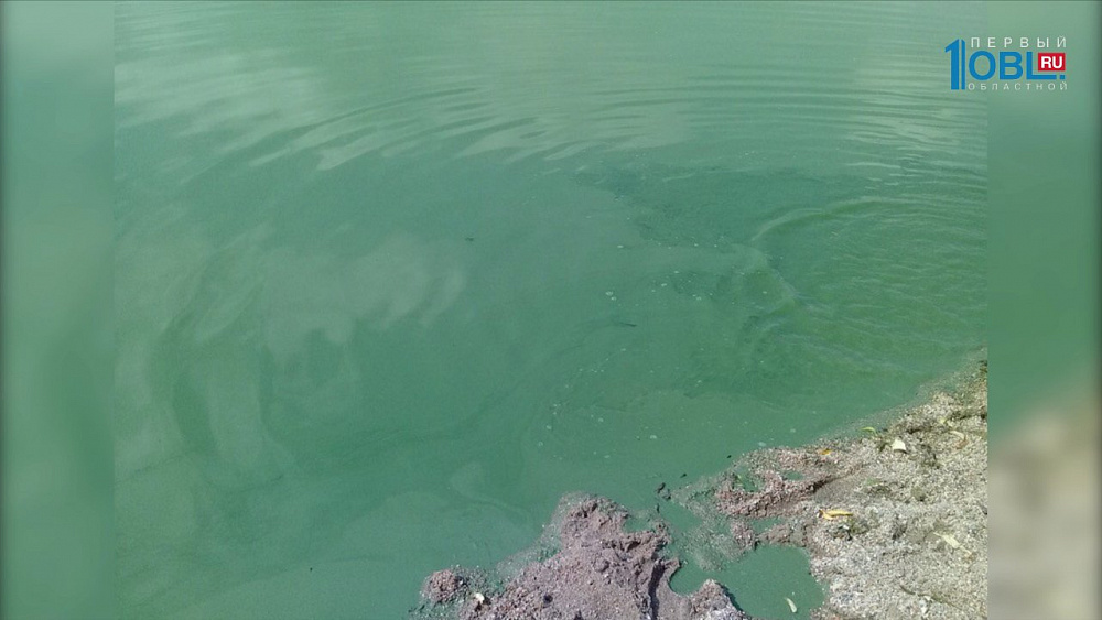 Челябинцев обеспокоило позеленевшее озеро