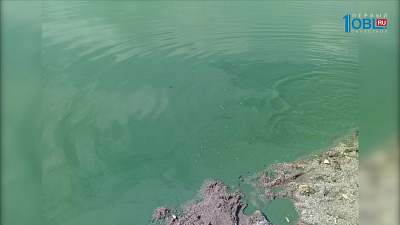 Челябинцев обеспокоило позеленевшее озеро