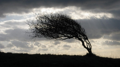 Штормовой ветер ожидается в Челябинской области