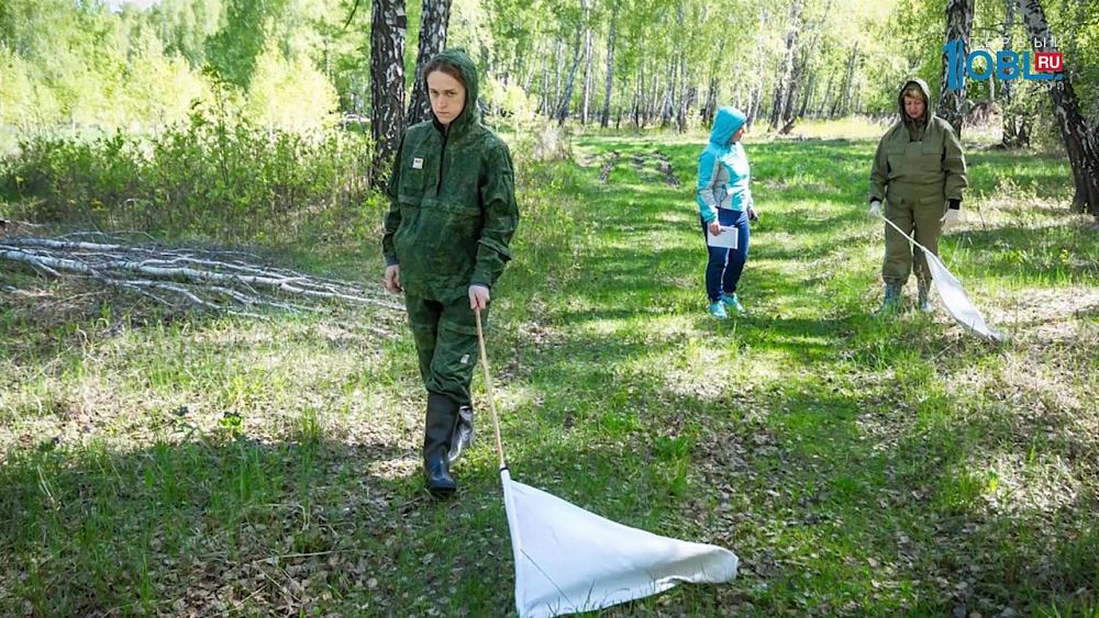 Как избежать летних инфекций